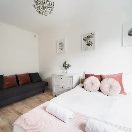 Apartment Old Town - 3 Rooms - 2 Bathrooms - 12 People - Parking Place Breslavia Esterno foto